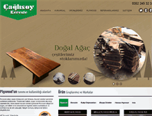 Tablet Screenshot of caglisoykereste.com